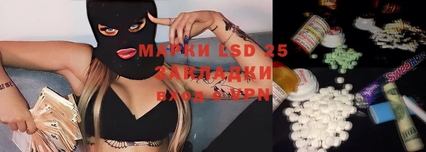 стафф Гатчина