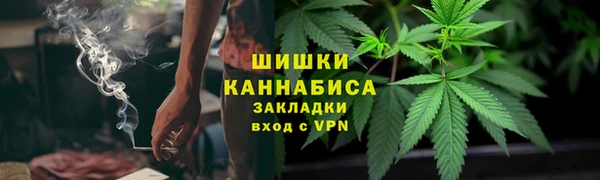 стафф Гатчина