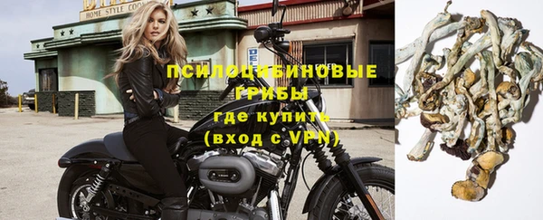 ALPHA PVP Осинники