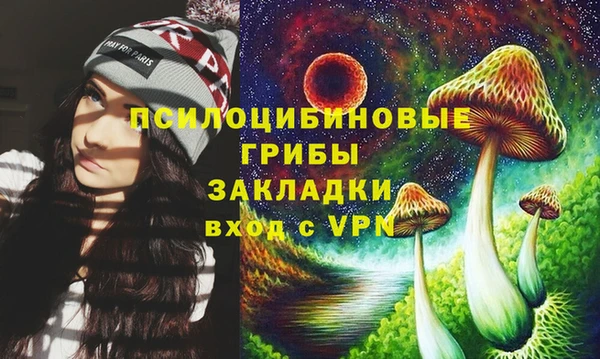 ALPHA PVP Осинники