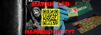 spice Заводоуковск